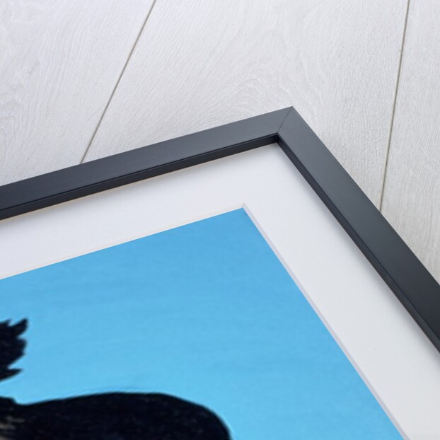 Amazing Black Dog, 2000 by Marjorie Weiss