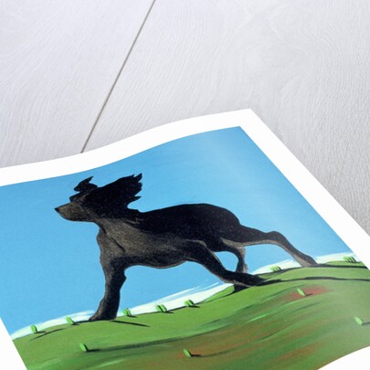 Amazing Black Dog, 2000 by Marjorie Weiss