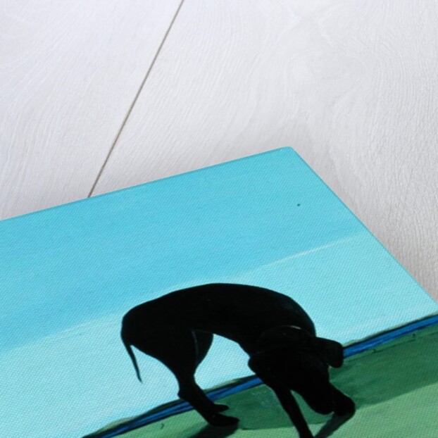 Joe's Black Dog, 1996 by Marjorie Weiss