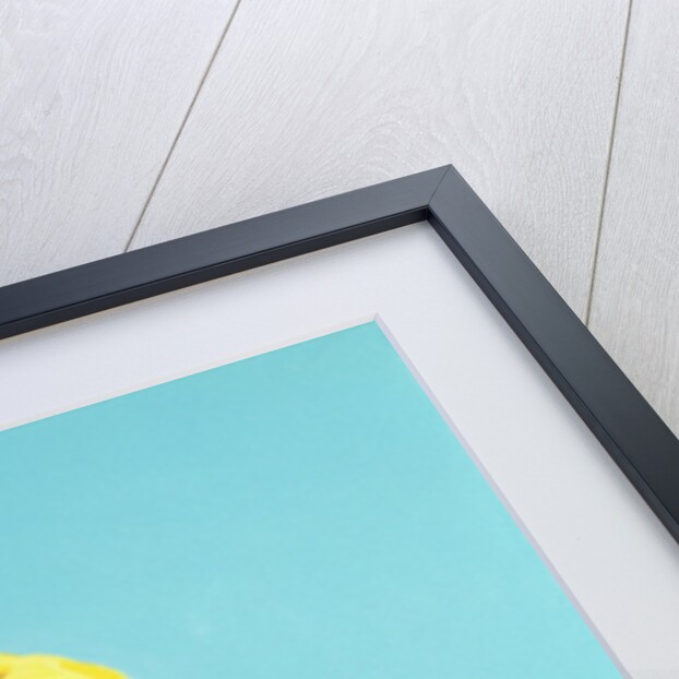 Cuban Portrait #13, 1996 by Marjorie Weiss