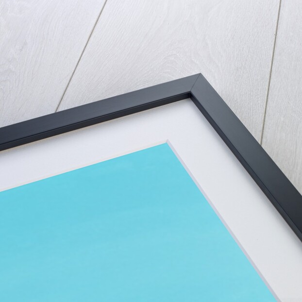 Cuban Portrait #8, 1996 by Marjorie Weiss