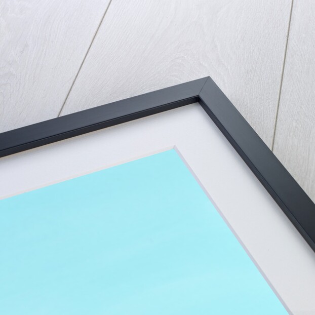 Cuban Portrait no.5, 1996 by Marjorie Weiss