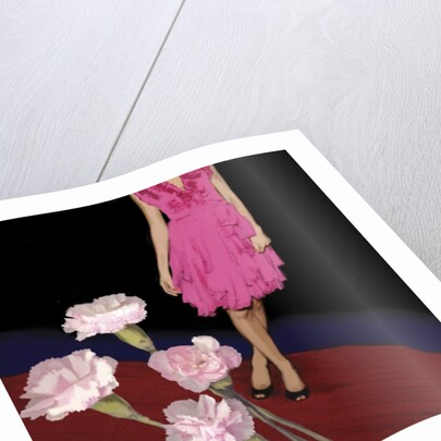 Pink Carnations, 2008 by Marjorie Weiss