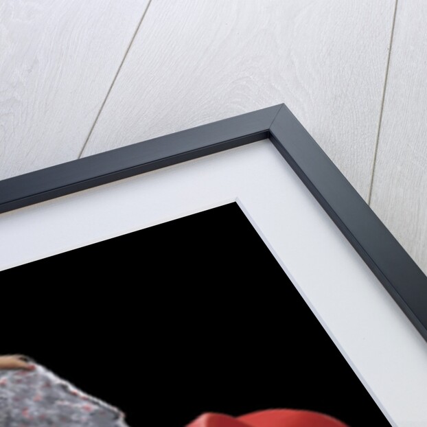 The Red Hat, 2008 by Marjorie Weiss