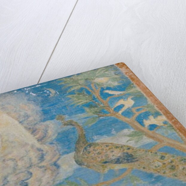 Peacock, detail of 3496206 by Italian School