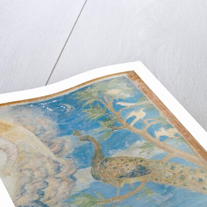 Peacock, detail of 3496206 by Italian School