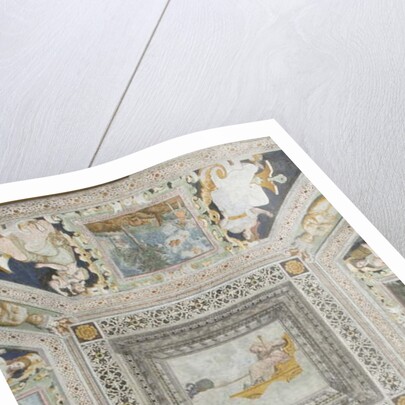 Room of Juno: Juno on a chariot pulled by two peacocks watching her husband's betrayal by Italian School