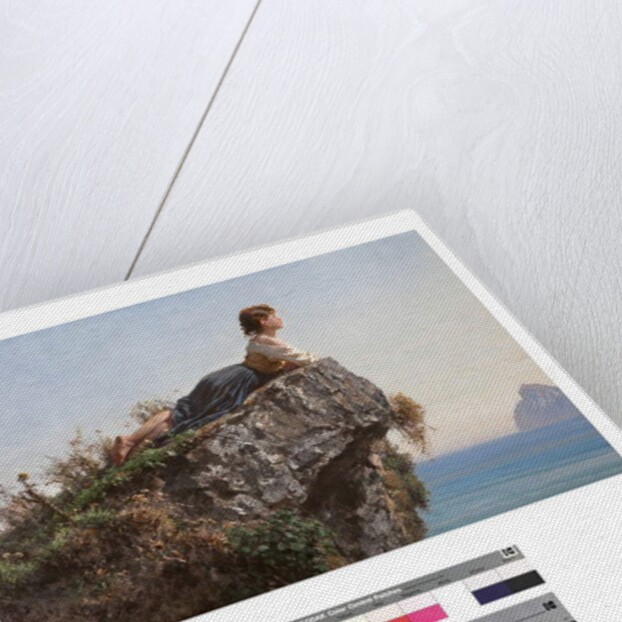 Young girl on a rock in Sorrento, 19th century by Filippo Palizzi