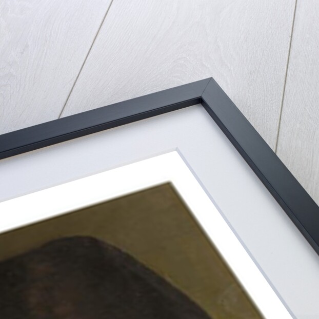 Portrait of a Polish Man by Giuseppe Tominz