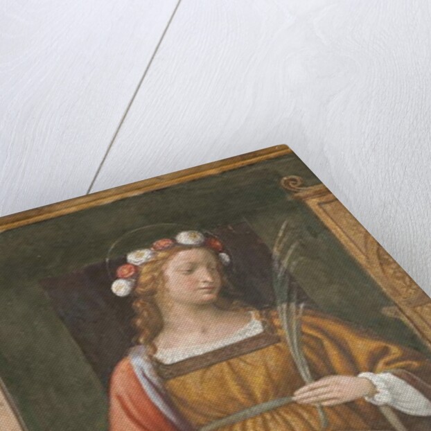 Saint Rose by Bernardino Luini