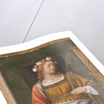 Saint Rose by Bernardino Luini