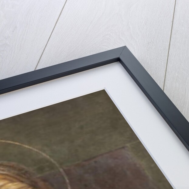 Saint Apollonia, c.1522-25 by Bernardino Luini