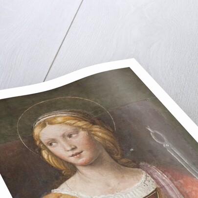 Saint Apollonia, c.1522-25 by Bernardino Luini