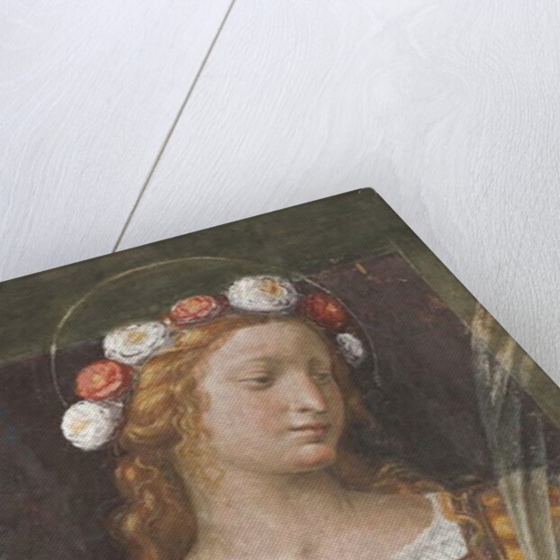 Saint Rose by Bernardino Luini