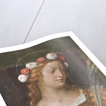 Saint Rose by Bernardino Luini