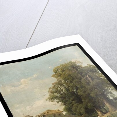 The surroundings of Milan of The Washerwomen at Magolfa, 1870 by Eugenio Gignous