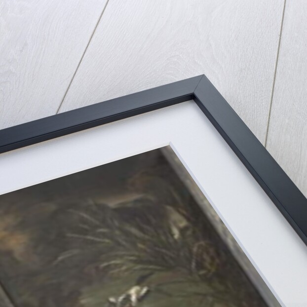 Swan and ducks, Myth of Orpheus by Italian School