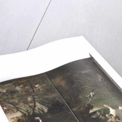 Swan and ducks, Myth of Orpheus by Italian School