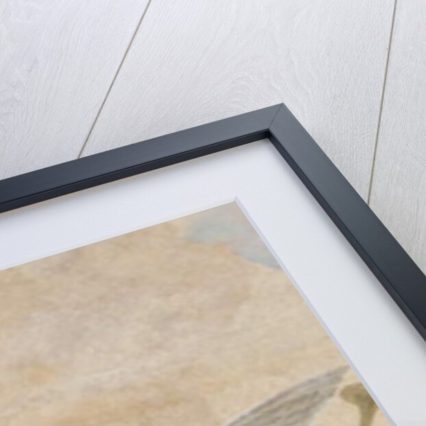 The Fall of the Demons, Stories of Scipio, detail, 1731 by Giovanni Battista Tiepolo