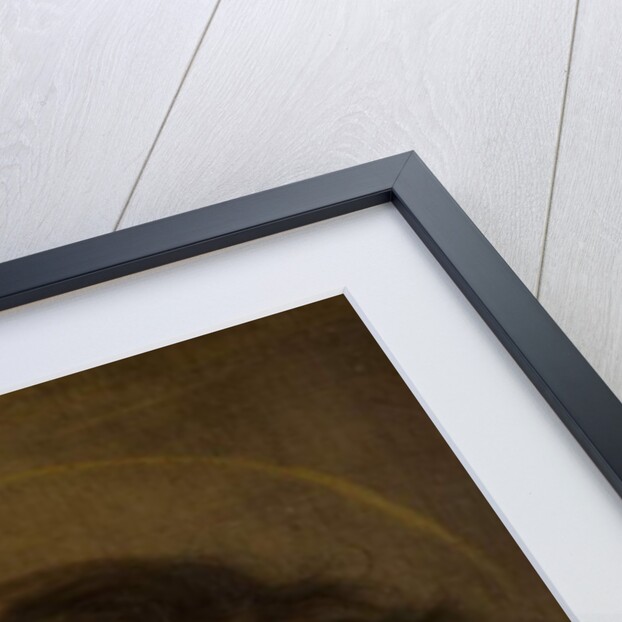 Saint John the Evangelist by Giuseppe Vermiglio