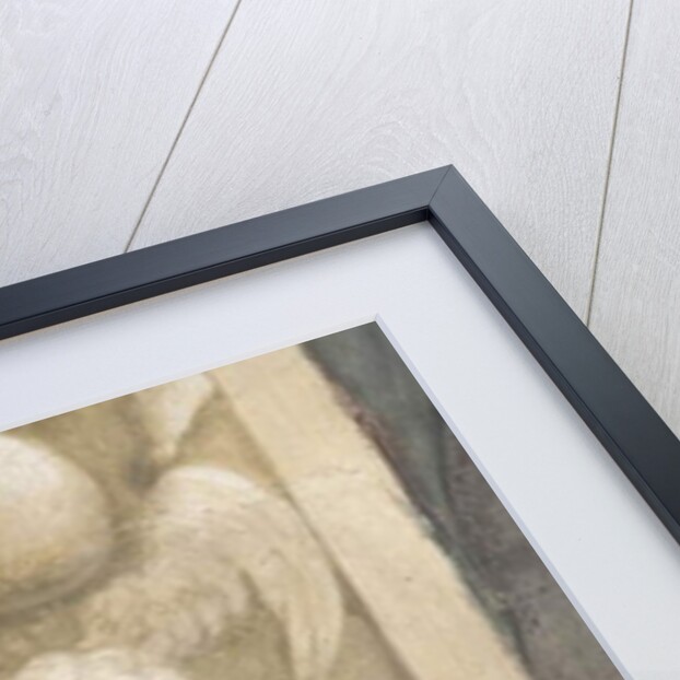 Putti, decorations around the windows by Lattanzio Gambara