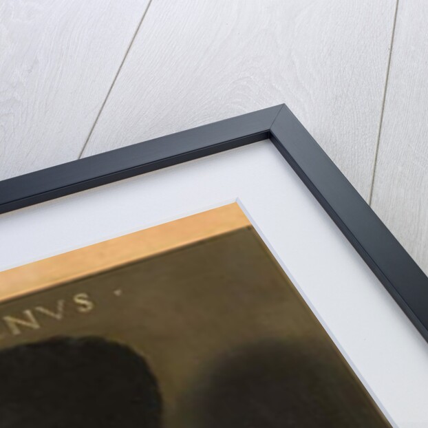 Niccolò Leoniceno, 1521 by Dosso Dossi