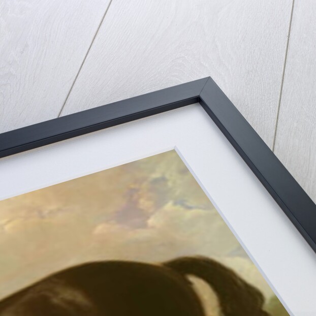 Old English Black Horse by William Shiels