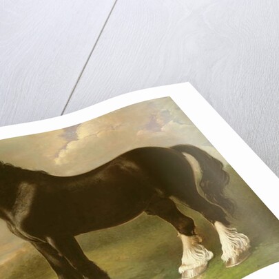 Old English Black Horse by William Shiels