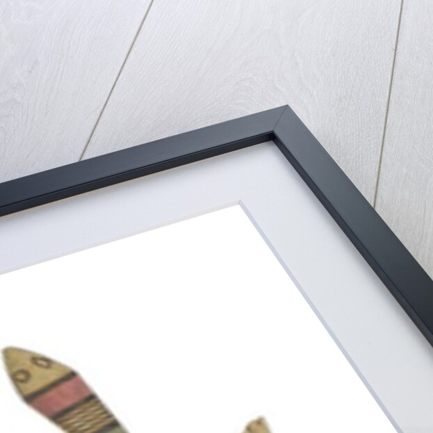 Carved wooden tortoise figures decorated with red, green and black painted geometric patterns, Hausa People, Kano, Northern Nigeria by Nigerian Nigerian