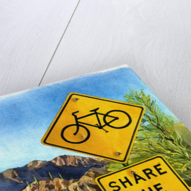 Share the Road, Gates Pass, 2004 by Lucy Masterman