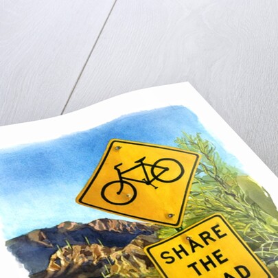 Share the Road, Gates Pass, 2004 by Lucy Masterman