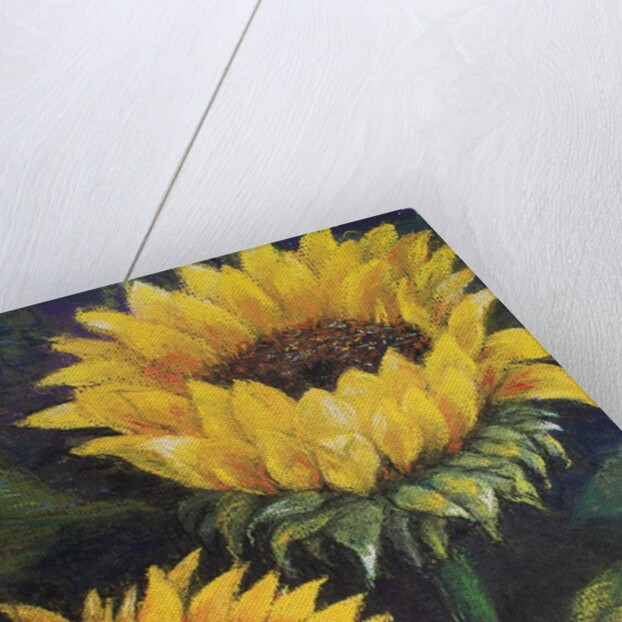 Sunflowers, 2016 by Margo Starkey