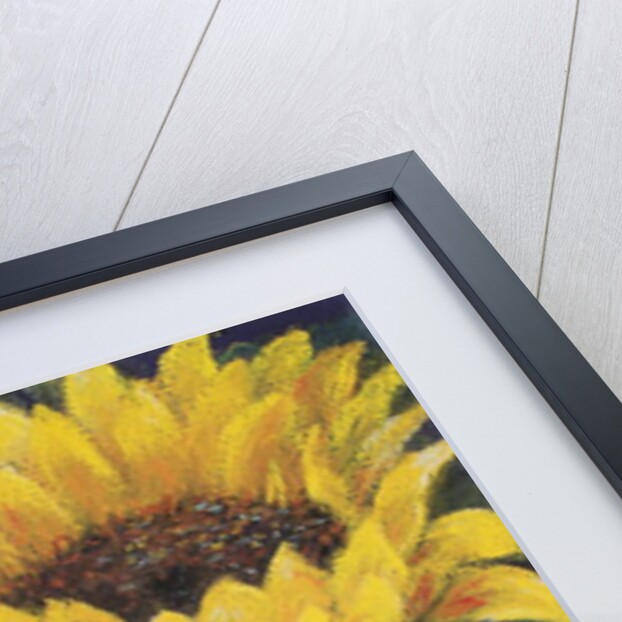 Sunflowers, 2016 by Margo Starkey