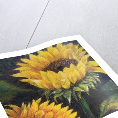 Sunflowers, 2016 by Margo Starkey
