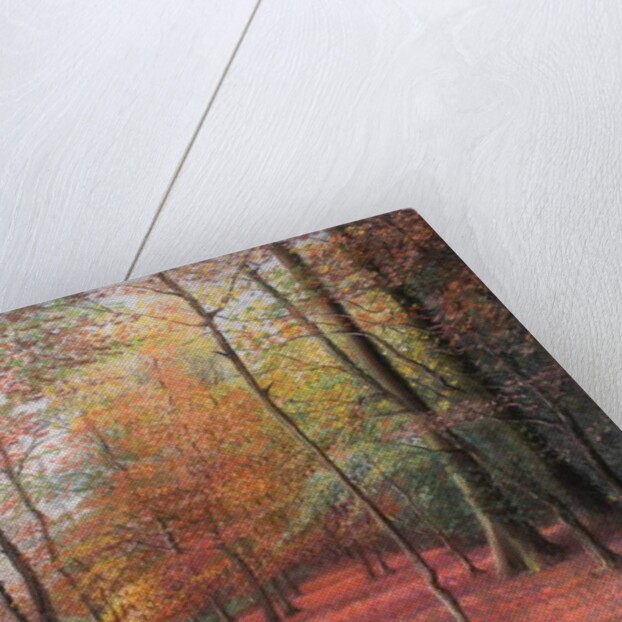 Autumn in the Woods, 1999 by Margo Starkey