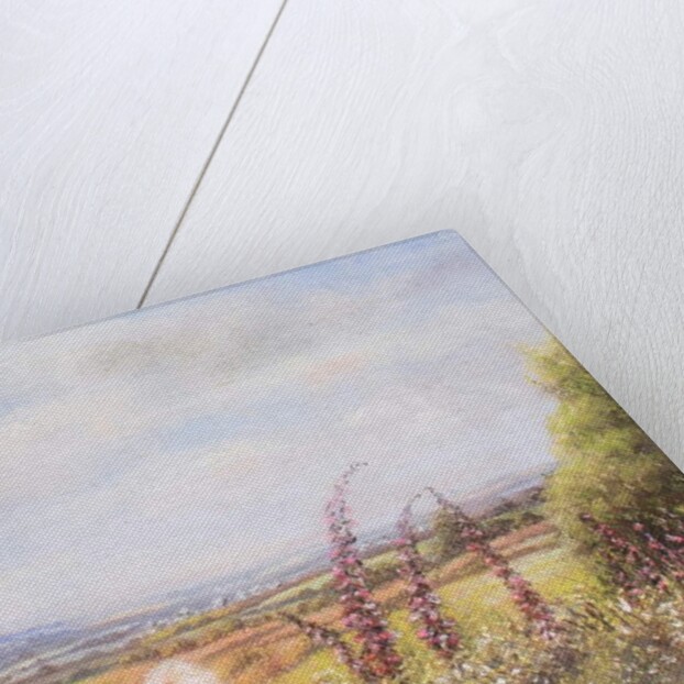 Foxgloves on Dartmoor, 2000 by Margo Starkey