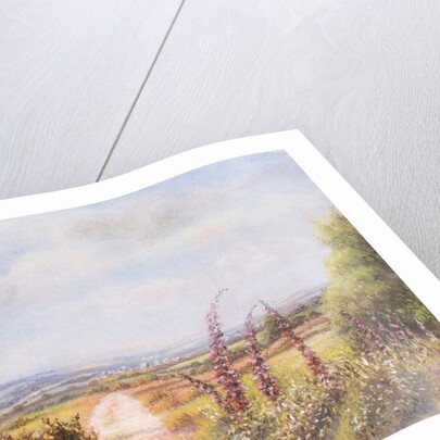 Foxgloves on Dartmoor, 2000 by Margo Starkey