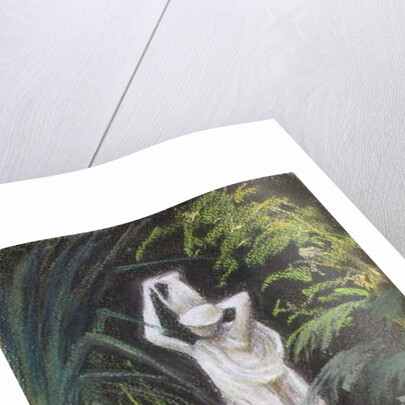 A Corner of my Garden, 2018 by Margo Starkey