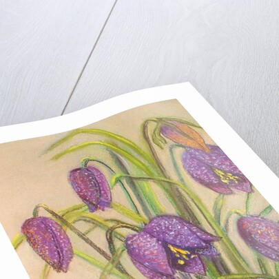 Bunch of Fritillaria, 2015 by Margo Starkey