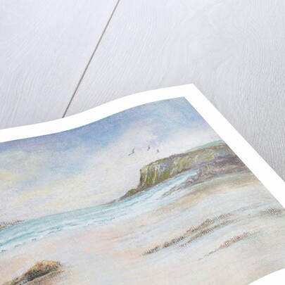 Southern Ireland by Margo Starkey