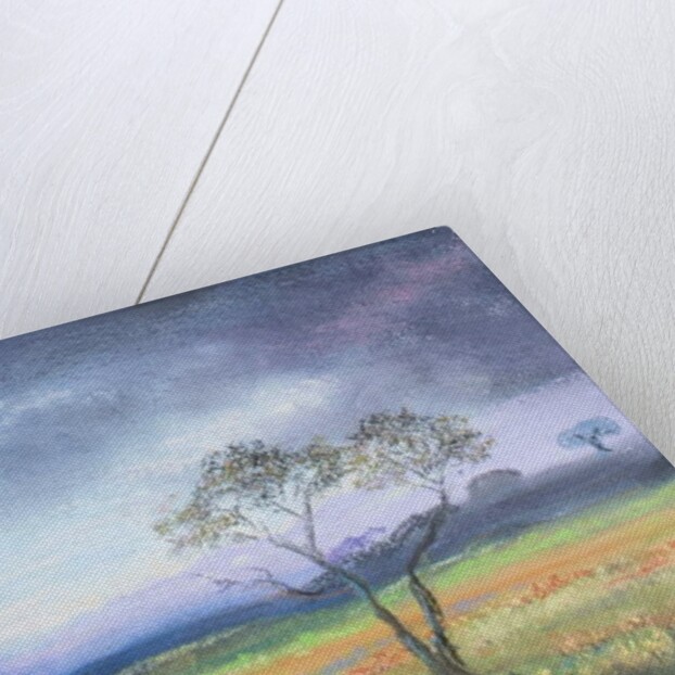 Dartmoor Scene by Margo Starkey