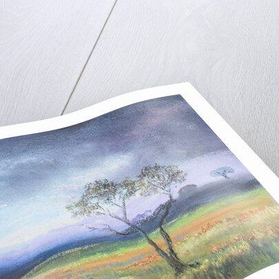 Dartmoor Scene by Margo Starkey
