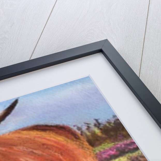 Highland Bull in Scotish Heather, 2018 by Margo Starkey
