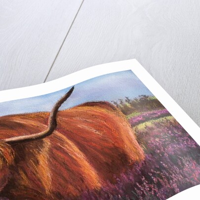 Highland Bull in Scotish Heather, 2018 by Margo Starkey