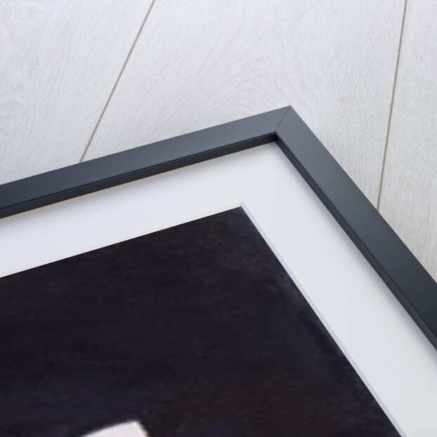 Orchid in my Bedroom, 2018 by Margo Starkey