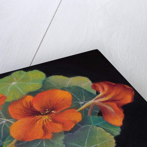 Nastursions by Margo Starkey