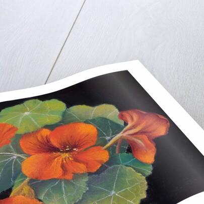 Nastursions by Margo Starkey