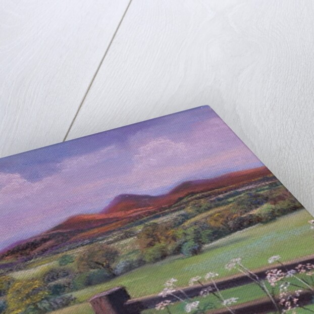 Summertime in the country by Margo Starkey