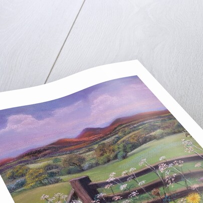 Summertime in the country by Margo Starkey