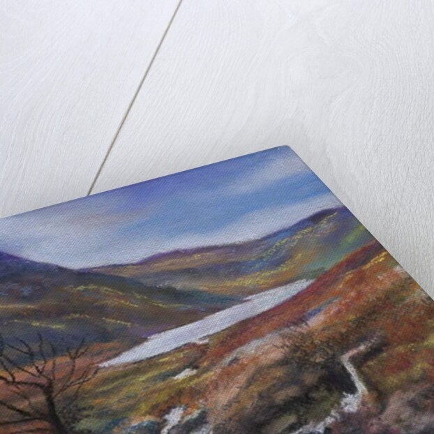 The Lake district by Margo Starkey